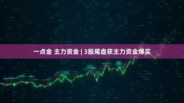 一点金 主力资金 | 3股尾盘获主力资金爆买