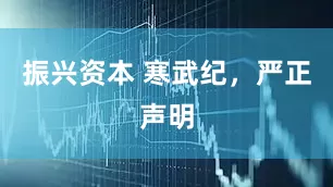 振兴资本 寒武纪，严正声明